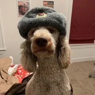 SovietDogfood