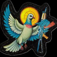 CuerpoGallo